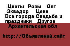 Цветы. Розы.  Опт.  Эквадор. › Цена ­ 50 - Все города Свадьба и праздники » Другое   . Архангельская обл.